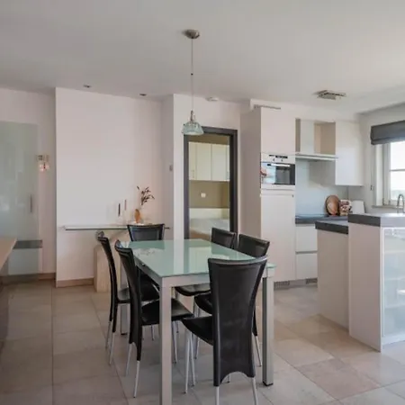 Near De Panne 公寓